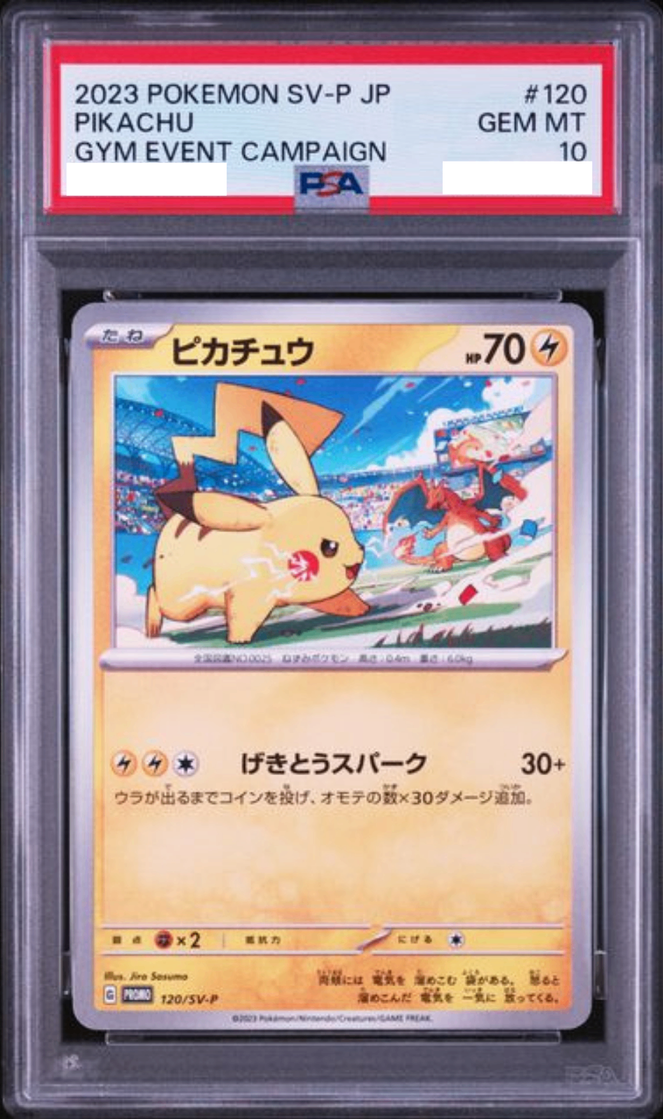 PSA10鑑定済〕ピカチュウ【P】{120/SV-P} [その他] – 【カードコレクト