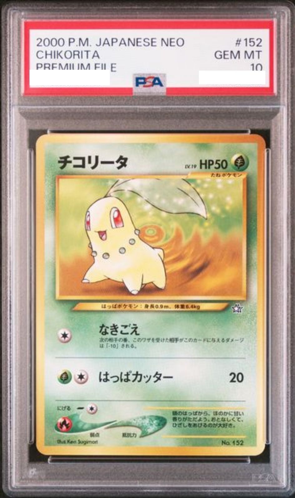 〔PSA10鑑定済〕チコリータ LV.19【-】{旧裏}