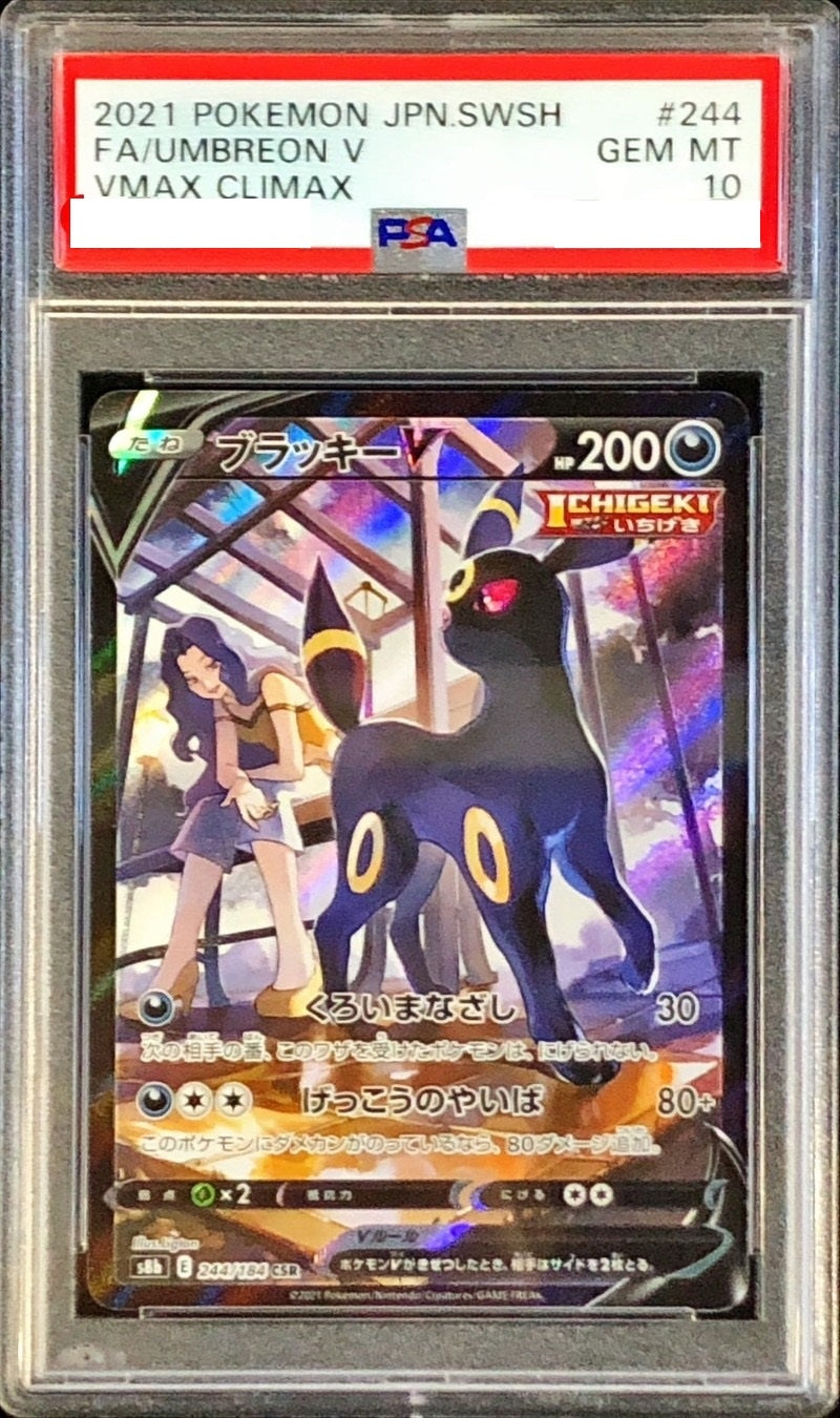 〔PSA10鑑定済〕ブラッキーV【CSR】{244/184} [その他]