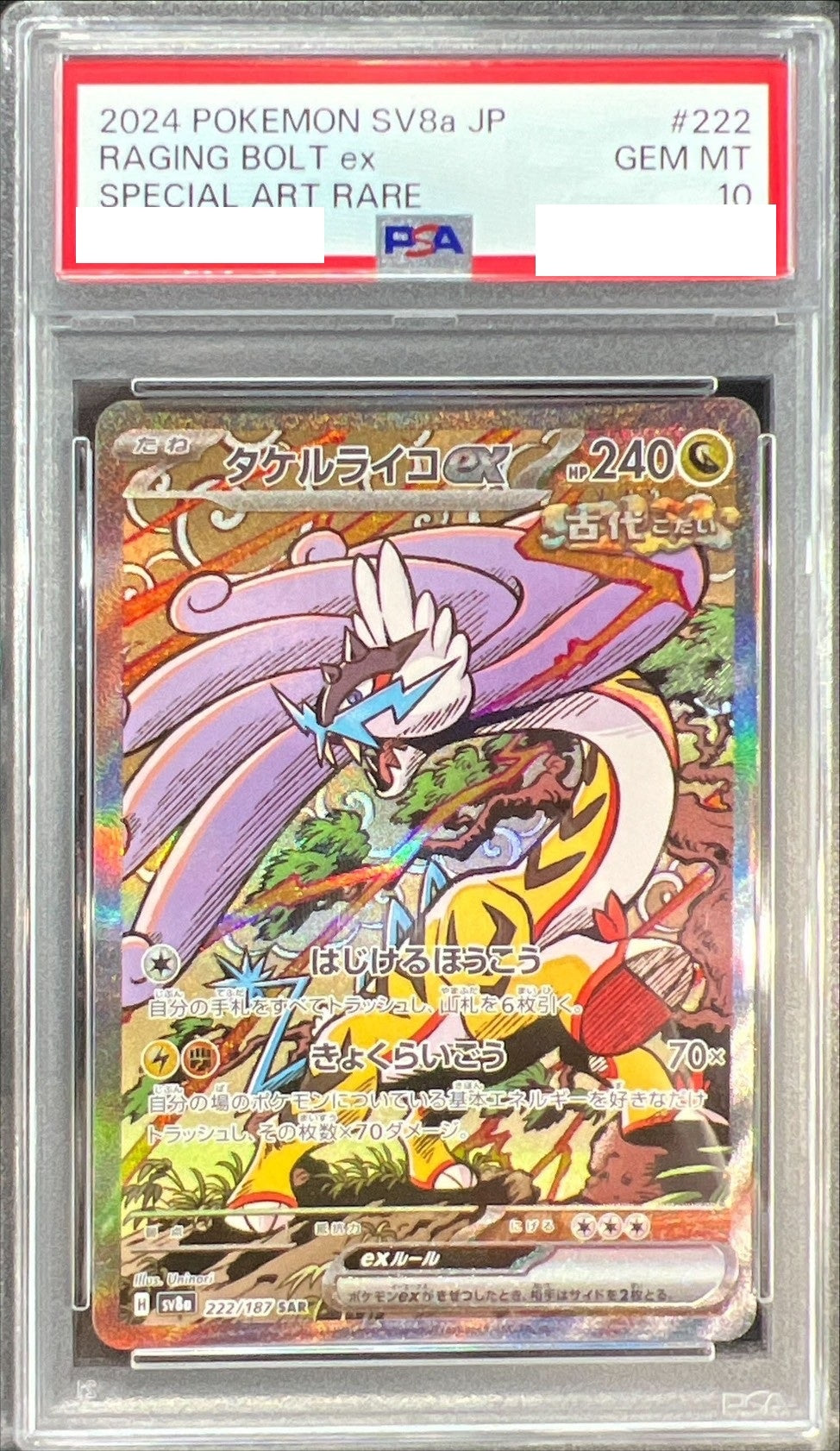 〔PSA10鑑定済〕タケルライコex【SAR】{222/187} [その他]
