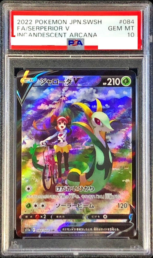 〔PSA10鑑定済〕ジャローダV【CSR】{084/068} [その他]